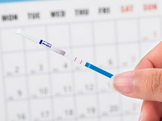 友情的诗句(友情的诗句还有哪些)