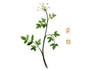 体育活动策划书_体育社团活动策划书