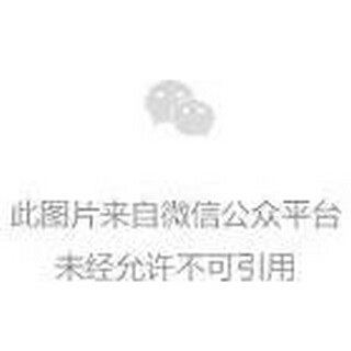 老人追悼会悼词(老人过世追悼会经典致悼词)