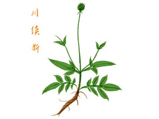 不负时光，不负青春作文_不负时光作文