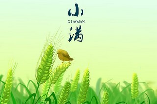 见证友谊的作文_一点一滴看友谊作文