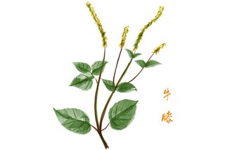 触碰心灵的经典语录_触碰心灵的语录