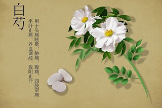 环境保护的问卷调查报告(环境保护问卷)