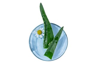 初夏回忆往事_初夏忆童年-生活里的诗意