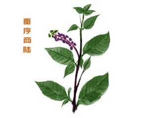 最新大寒节气句子_大寒的文案高级句子