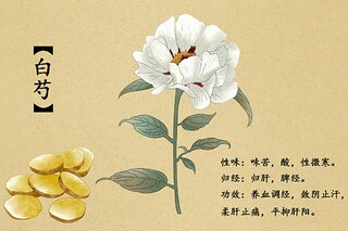 初中校长年终工作总结_期中工作总结校长发言