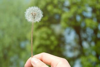 毕业离别说的话(大学生毕业离别)