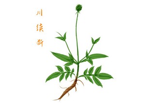 银行国家助学贷款还款协议(银行还款协议)