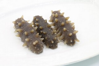 适合发朋友圈的旅行句子(适合发旅行朋友圈的句子最新)