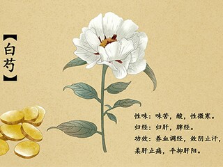 车间管理培训总结_企业新员工车间上岗培训总结