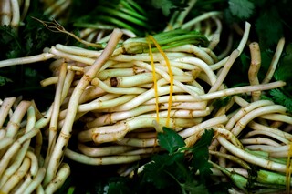 你看你看月亮的脸五线谱_你看，你看，月亮的脸作文
