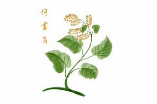 《池州翠微亭》古诗词鉴赏_品读诗词池州翠微亭