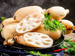 怪物大师好词好句_怪物大师好词好句和感想