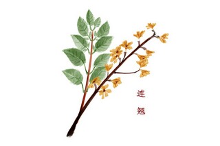 幼儿园小班踩高跷表演_幼儿园小班踩高跷教案